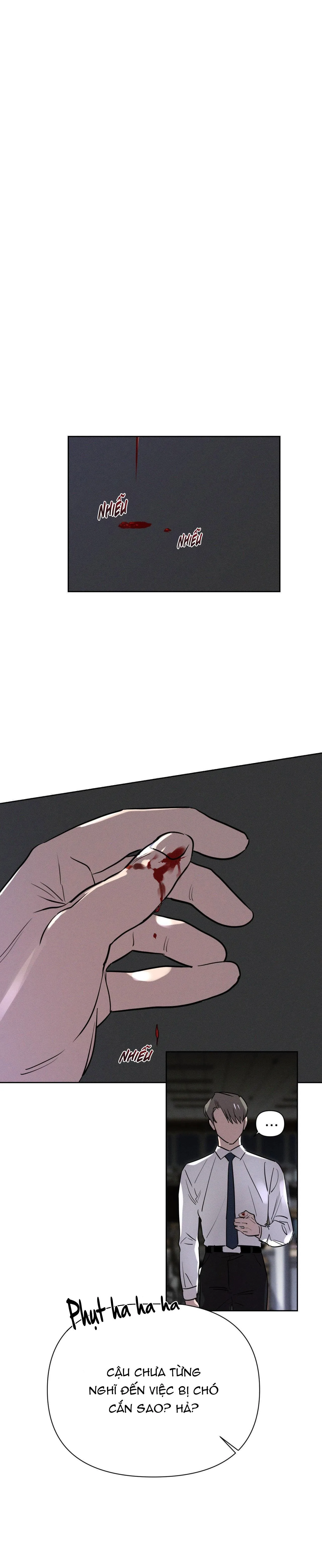 XIỀNG XÍCH HOÀN MỸ Chapter 5 Trang 6