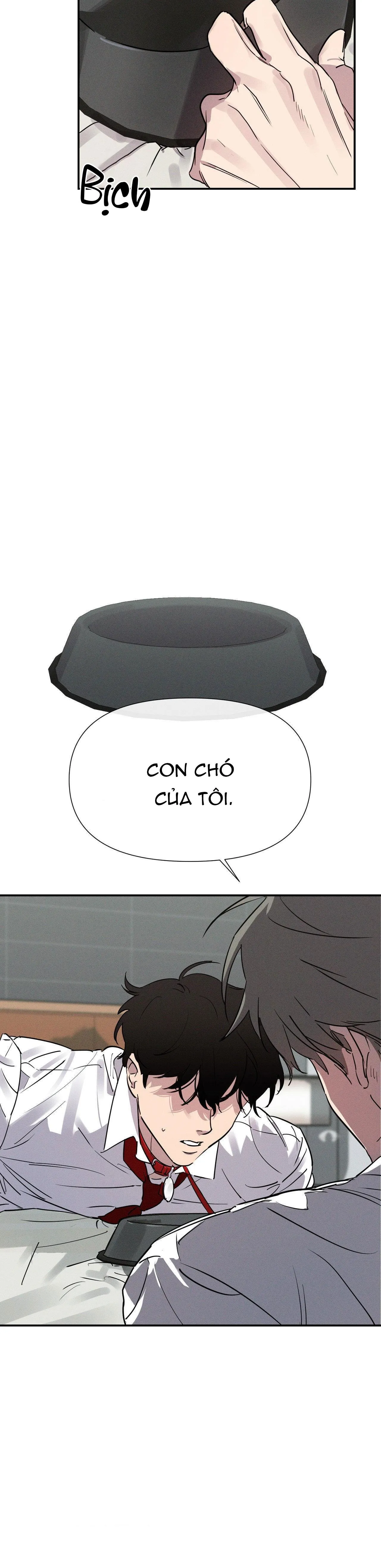 XIỀNG XÍCH HOÀN MỸ Chapter 1 Trang 24