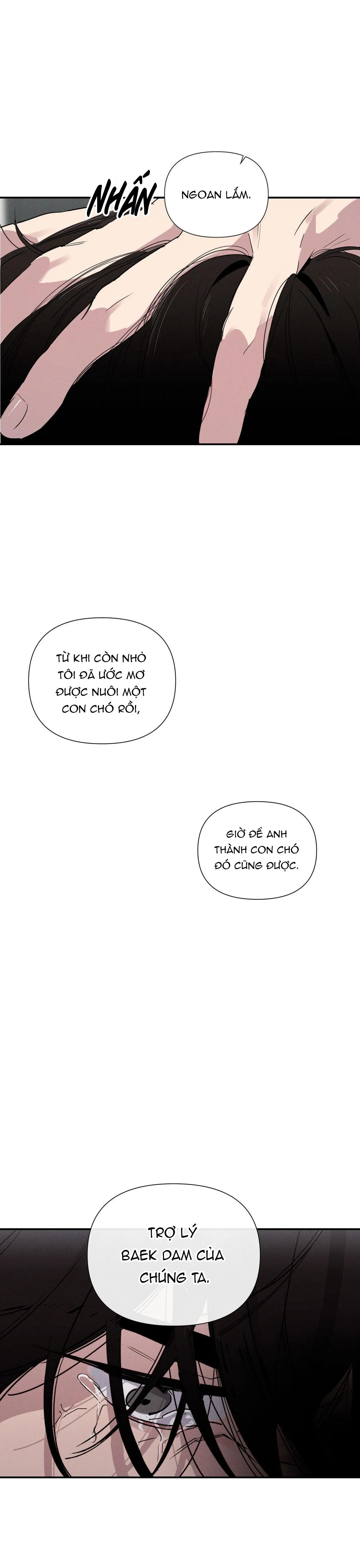 XIỀNG XÍCH HOÀN MỸ Chapter 1 Trang 37