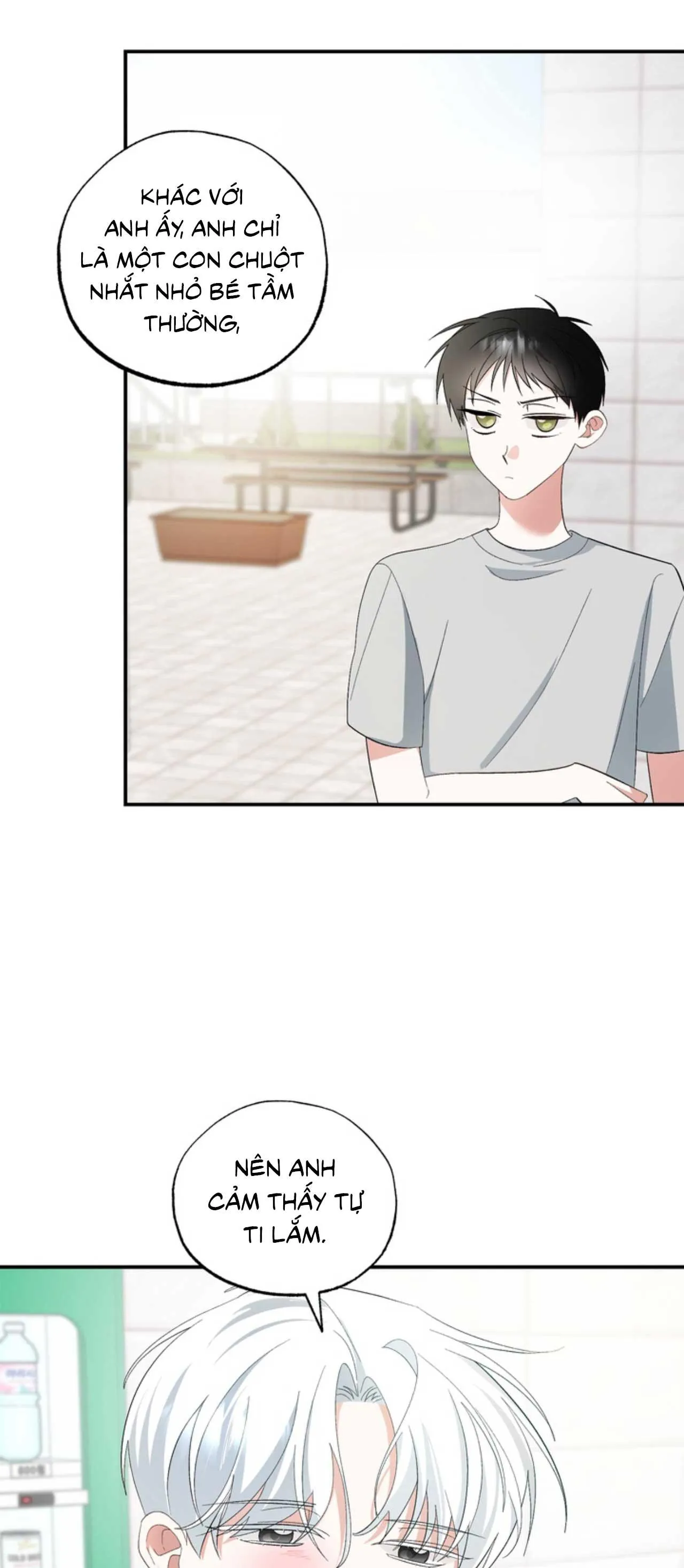 XIN HÃY YÊU THƯƠNG DÙ TÔI LÀ CHUỘT Chapter 4 Trang 22