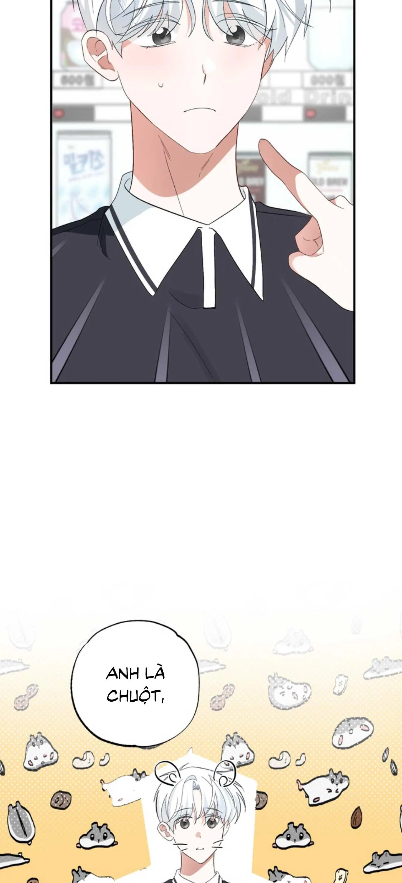 XIN HÃY YÊU THƯƠNG DÙ TÔI LÀ CHUỘT Chapter 4 Trang 33