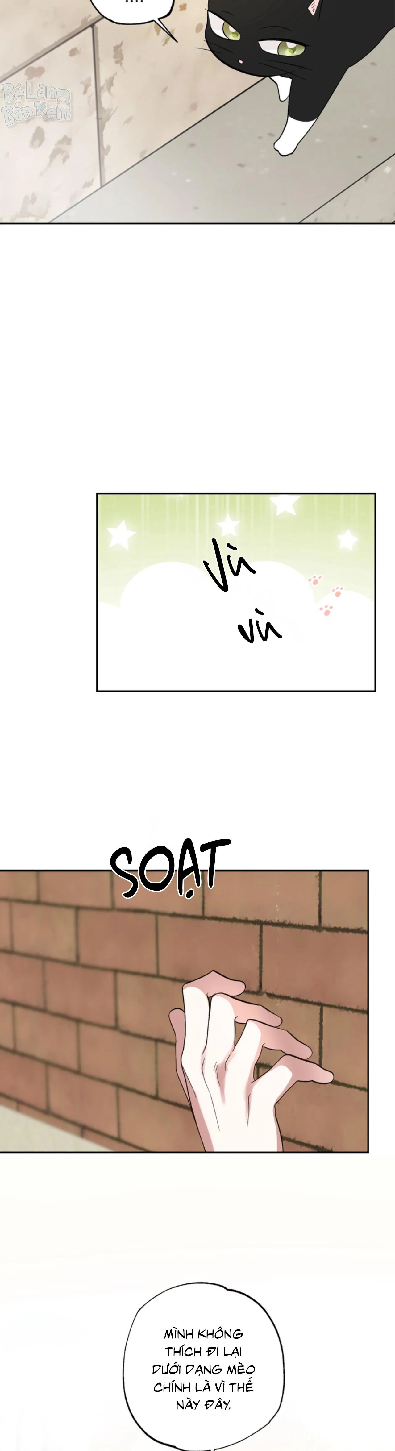 XIN HÃY YÊU THƯƠNG DÙ TÔI LÀ CHUỘT Chapter 5 Trang 15