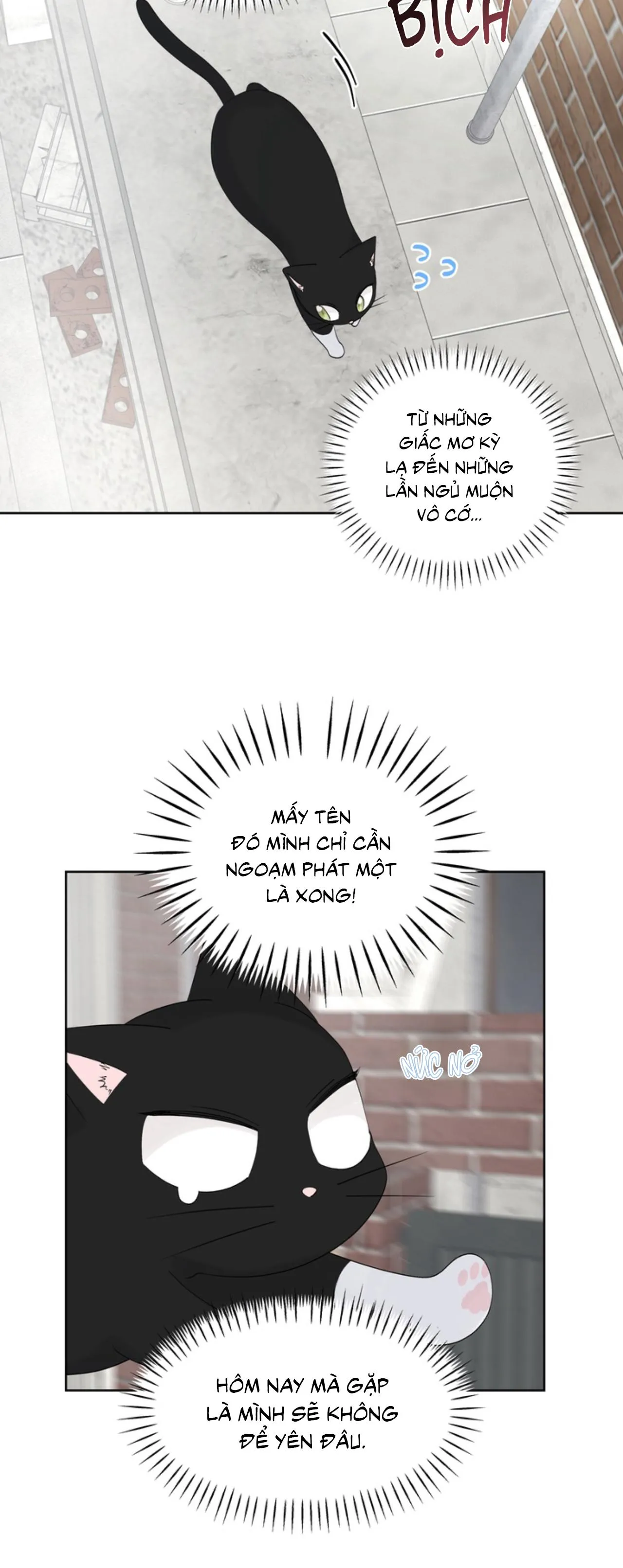 XIN HÃY YÊU THƯƠNG DÙ TÔI LÀ CHUỘT Chapter 6 Trang 24