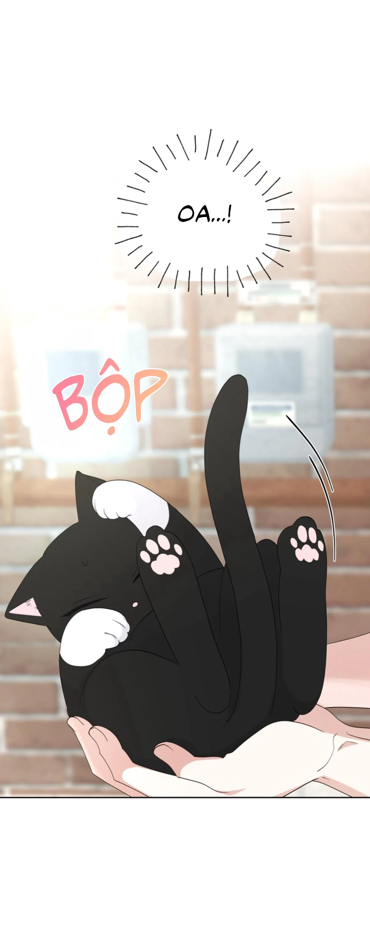 XIN HÃY YÊU THƯƠNG DÙ TÔI LÀ CHUỘT Chapter 6 Trang 37