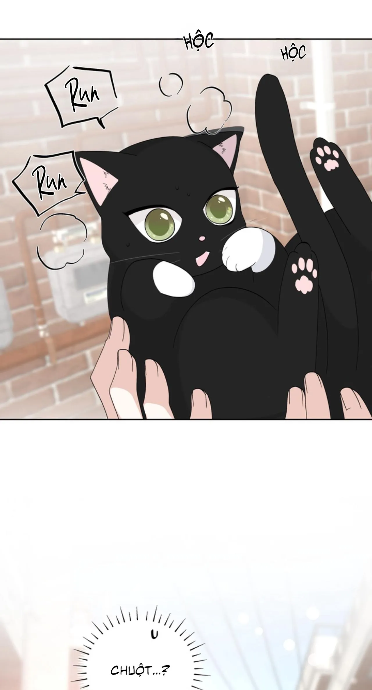 XIN HÃY YÊU THƯƠNG DÙ TÔI LÀ CHUỘT Chapter 6 Trang 38