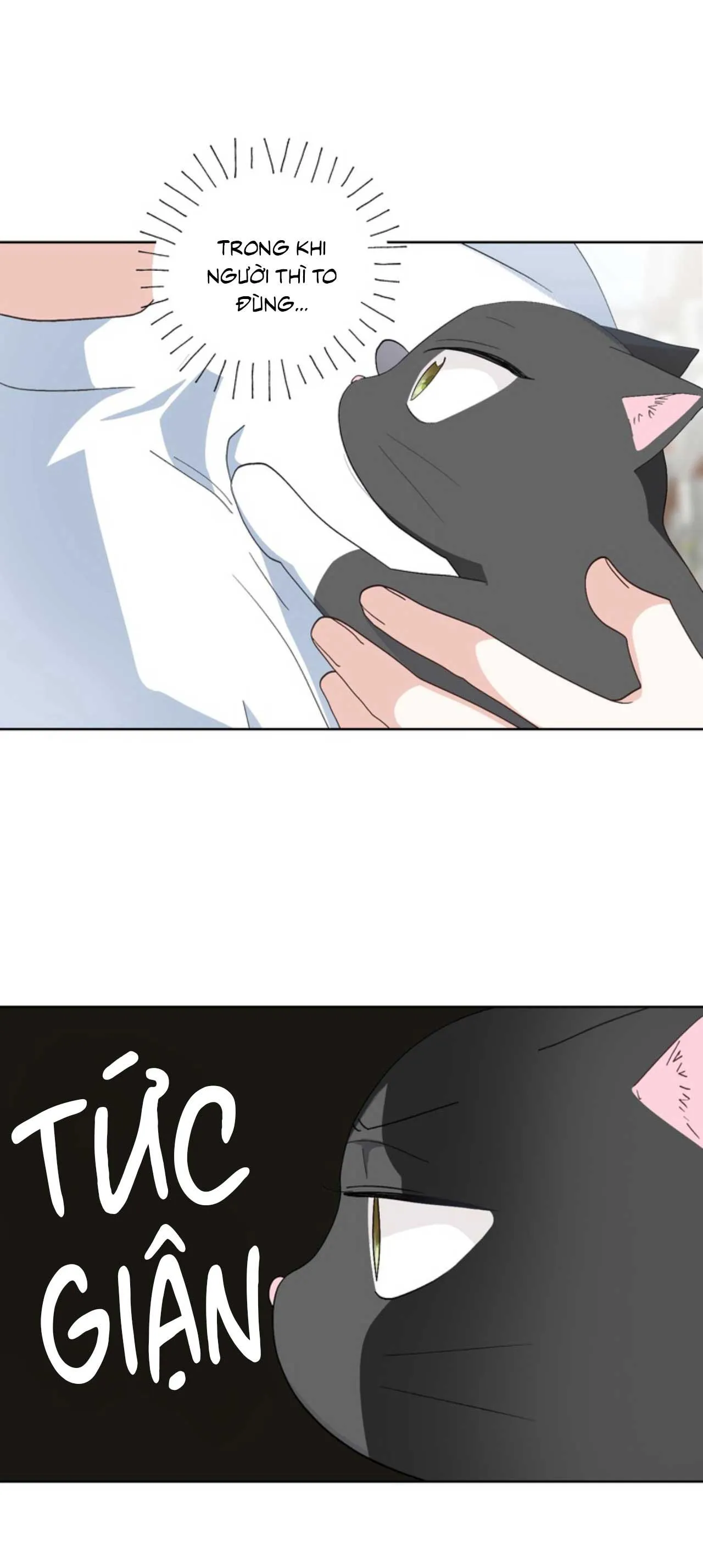 XIN HÃY YÊU THƯƠNG DÙ TÔI LÀ CHUỘT Chapter 7 Trang 5