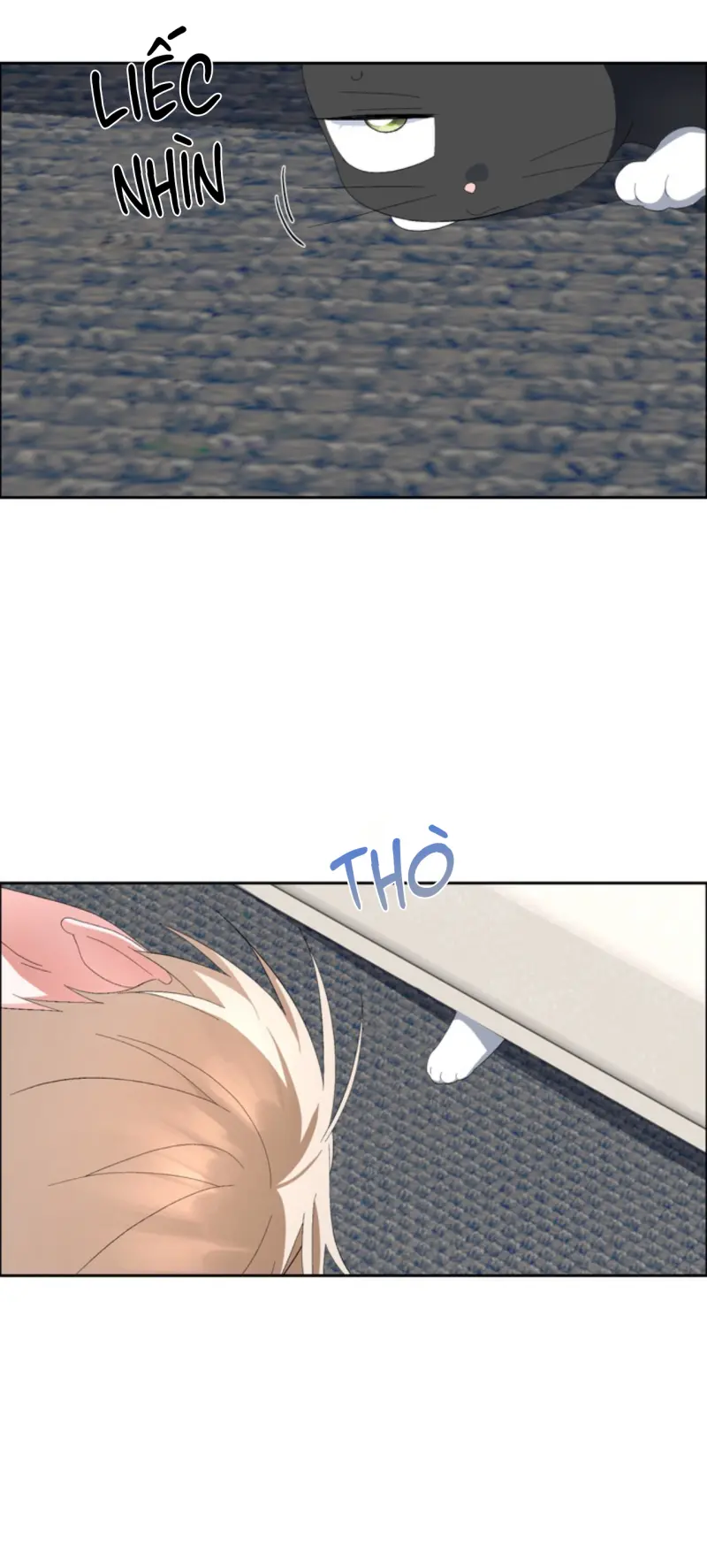 XIN HÃY YÊU THƯƠNG DÙ TÔI LÀ CHUỘT Chapter 10 Trang 11