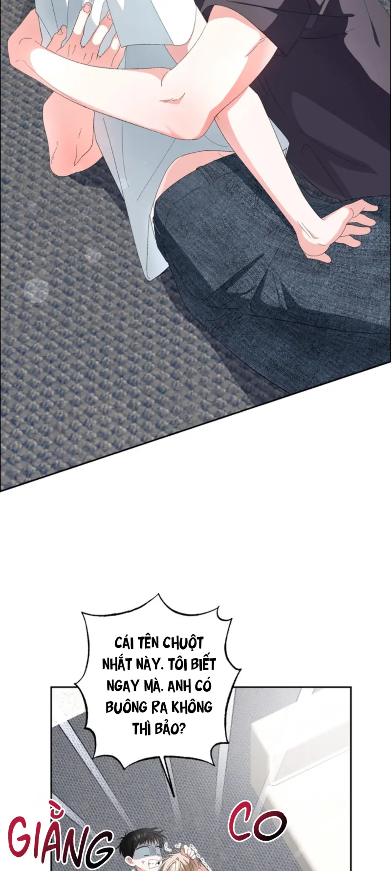 XIN HÃY YÊU THƯƠNG DÙ TÔI LÀ CHUỘT Chapter 10 Trang 15