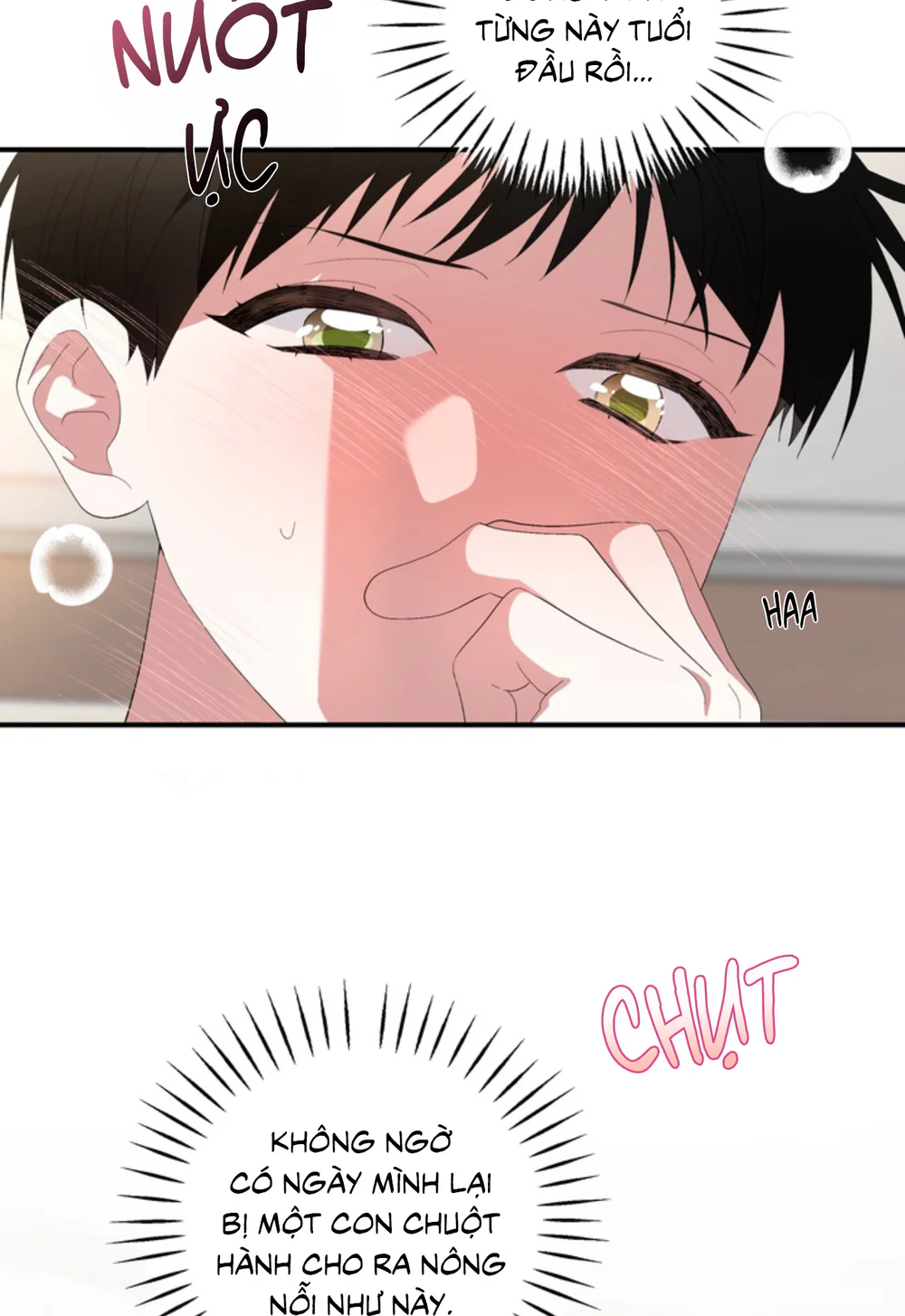 XIN HÃY YÊU THƯƠNG DÙ TÔI LÀ CHUỘT Chapter 18 Trang 4