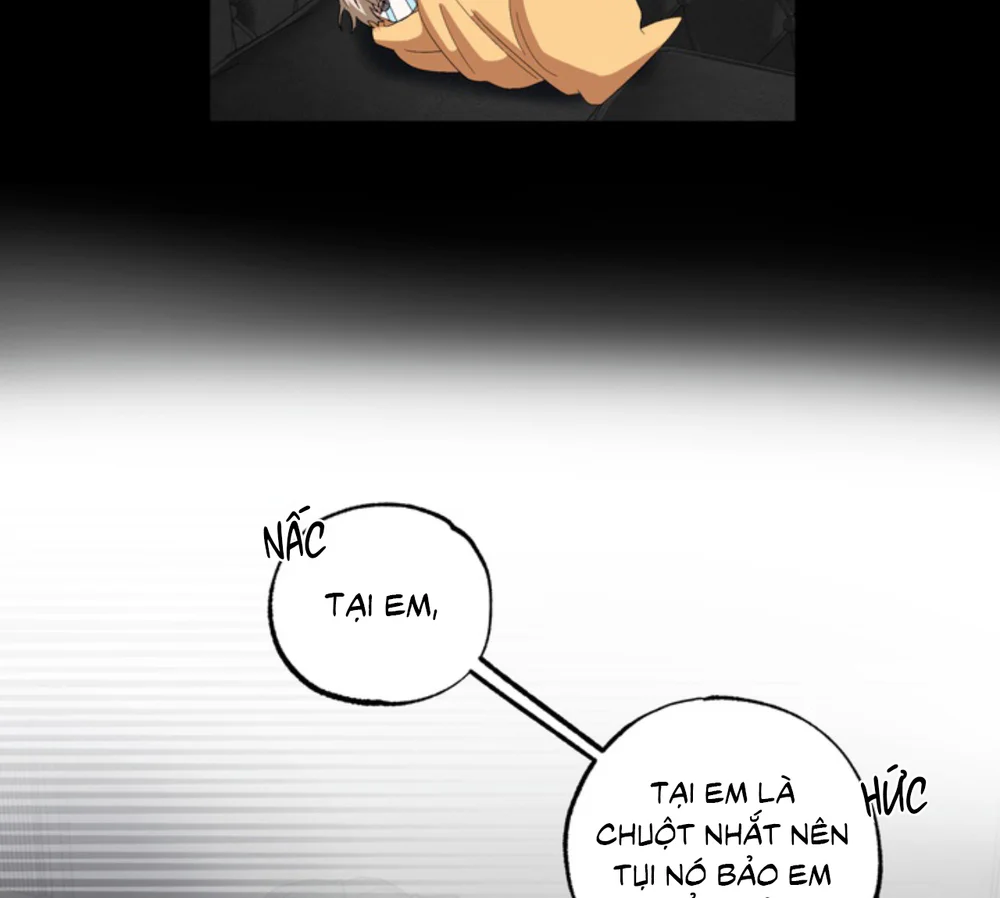 XIN HÃY YÊU THƯƠNG DÙ TÔI LÀ CHUỘT Chapter 21 Trang 12