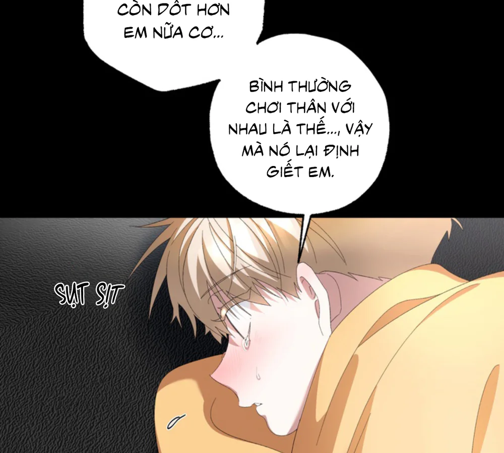 XIN HÃY YÊU THƯƠNG DÙ TÔI LÀ CHUỘT Chapter 21 Trang 14