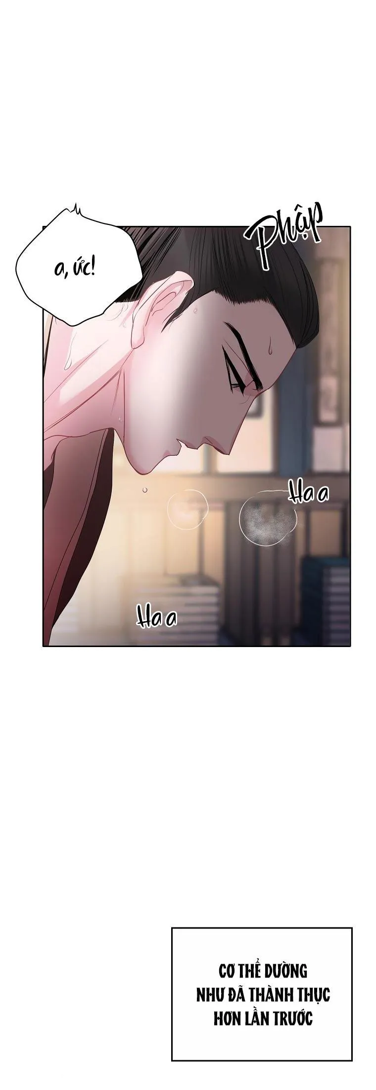 XUÂN PHONG VIÊN MÃN Chapter 13 Trang 52