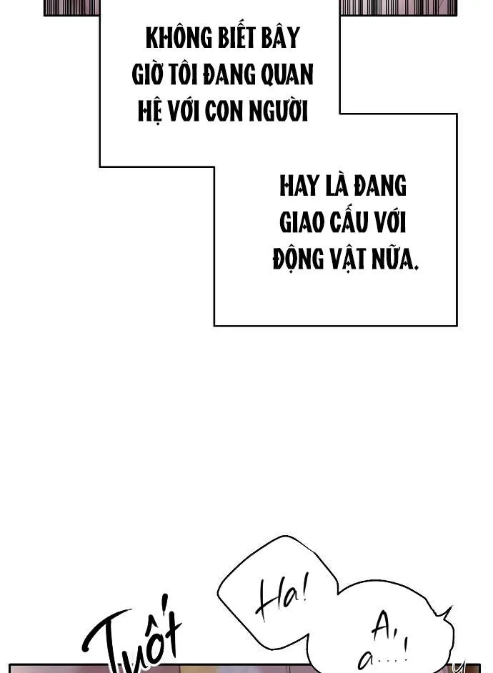 XUÂN PHONG VIÊN MÃN Chapter 26 Trang 65