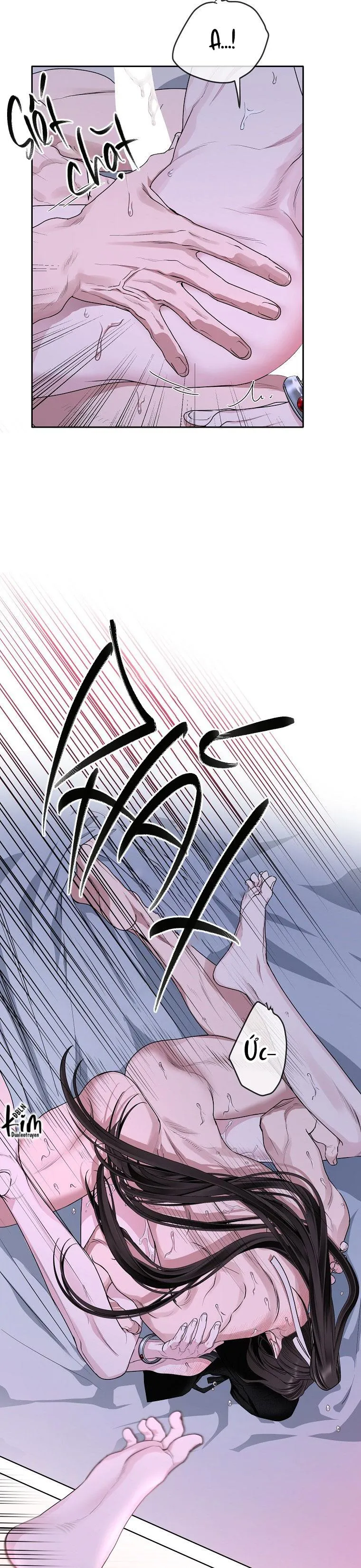 XUÂN PHONG VIÊN MÃN Chapter 78 Trang 5