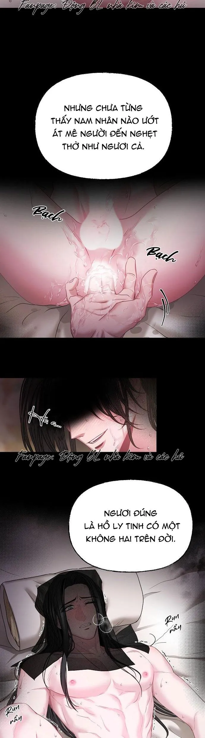 XUÂN PHONG VIÊN MÃN Chapter 1 Trang 3