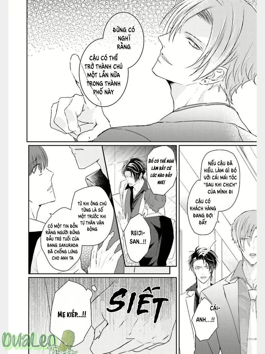 Xúc Cảm Tràn Trề, Không Thể Cưỡng Lại Chapter 1 Trang 10
