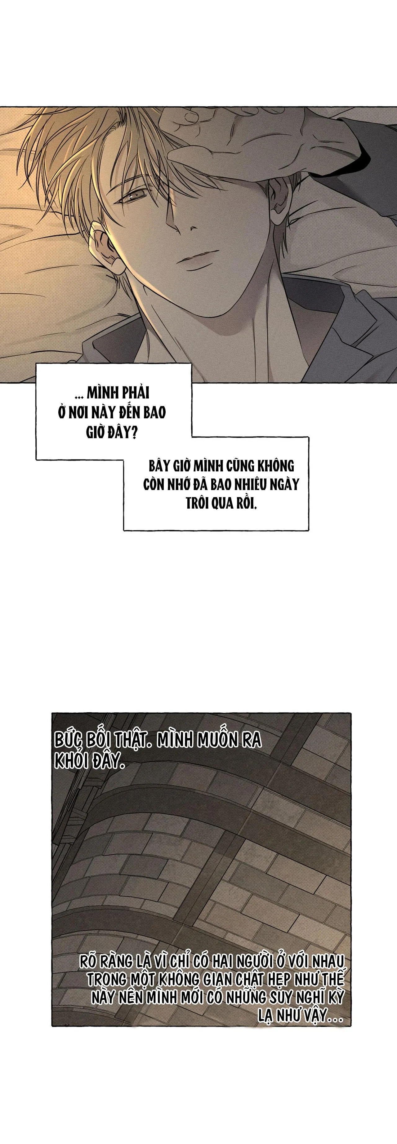 XƯƠNG VÀ CÁNH HOA Chapter 5 Trang 21