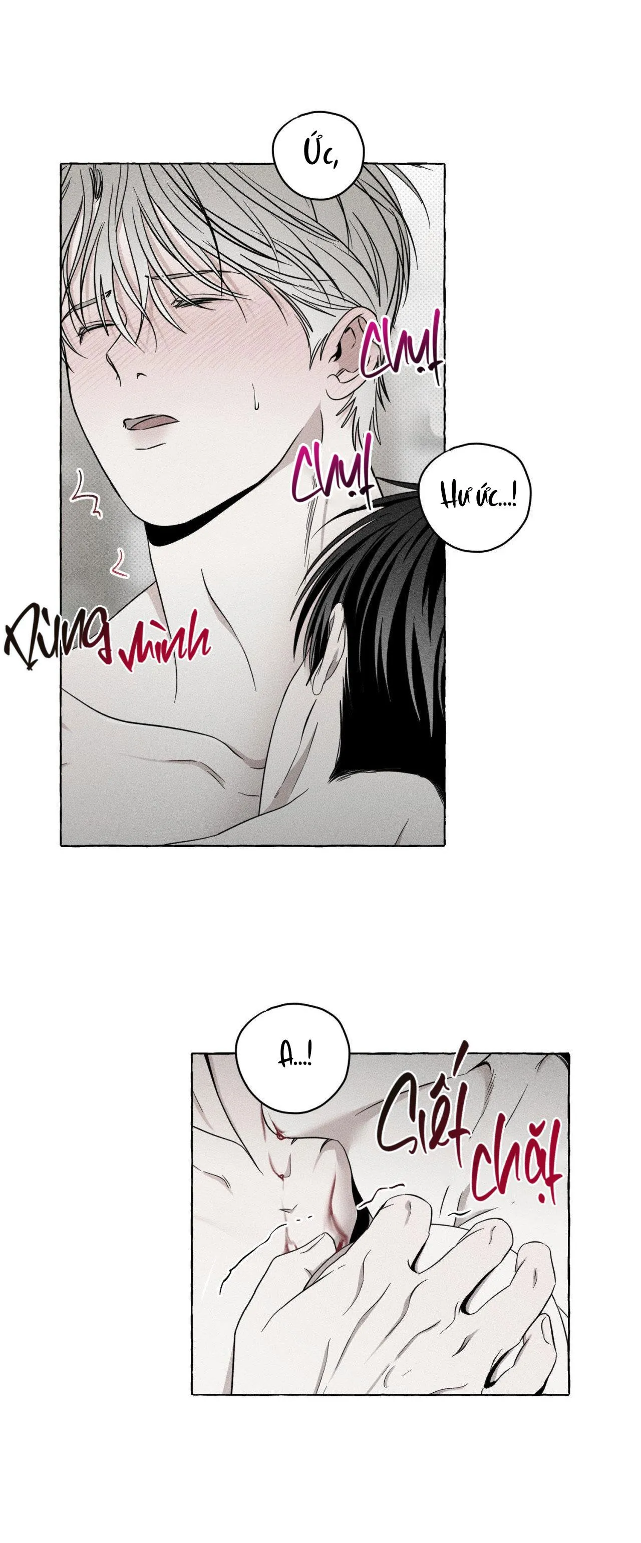 XƯƠNG VÀ CÁNH HOA Chapter 5 Trang 40