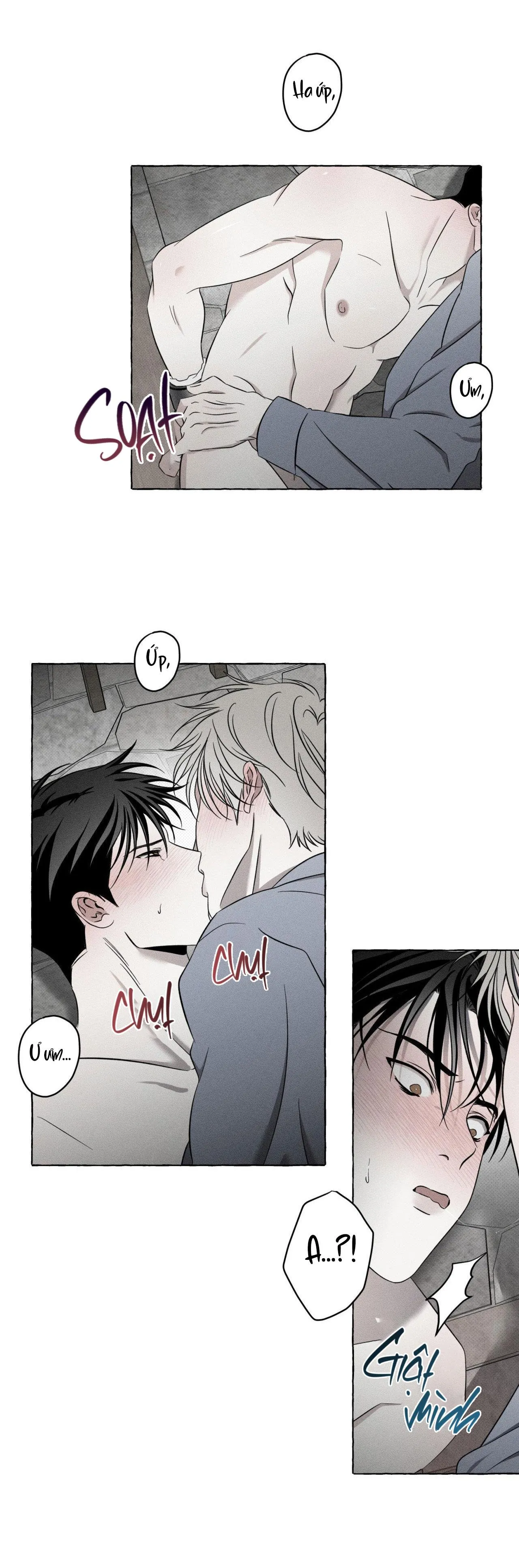 XƯƠNG VÀ CÁNH HOA Chapter 7 Trang 12