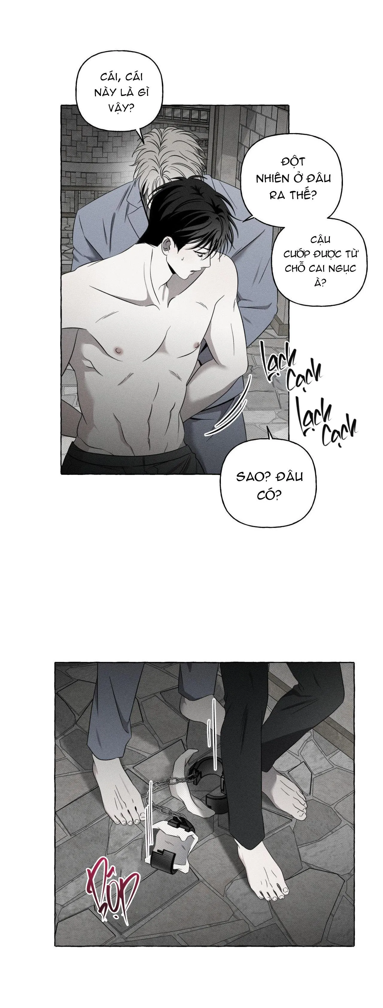 XƯƠNG VÀ CÁNH HOA Chapter 8 Trang 27