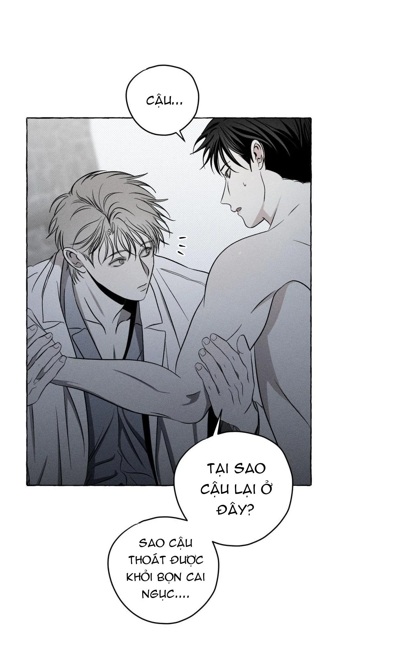 XƯƠNG VÀ CÁNH HOA Chapter 10 Trang 5