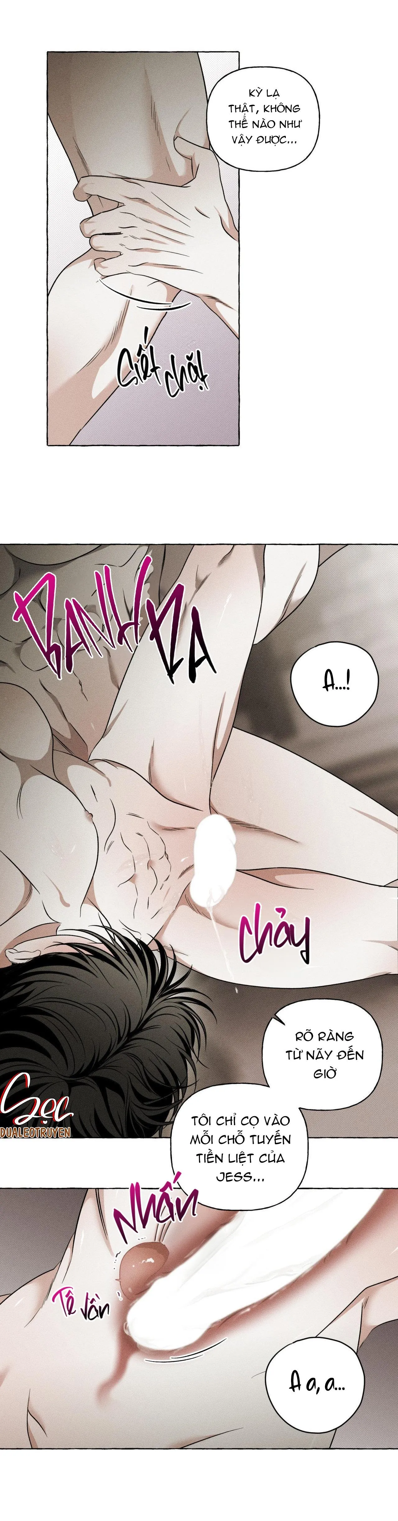 XƯƠNG VÀ CÁNH HOA Chapter 12 Trang 13