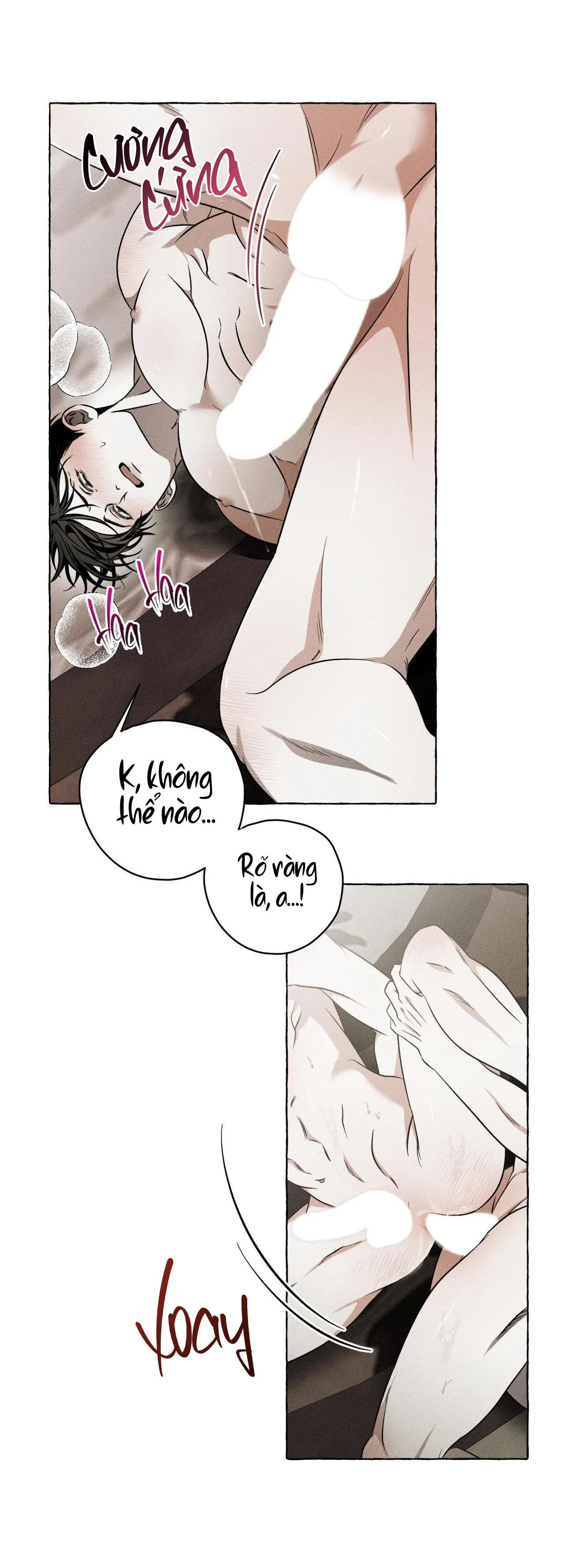 XƯƠNG VÀ CÁNH HOA Chapter 12 Trang 14