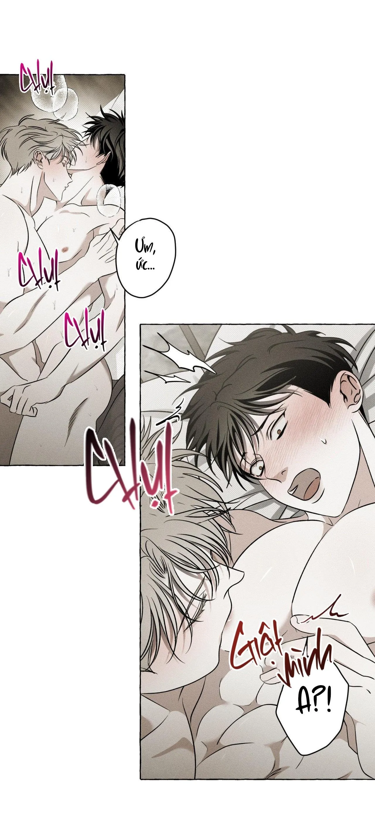 XƯƠNG VÀ CÁNH HOA Chapter 14 Trang 26