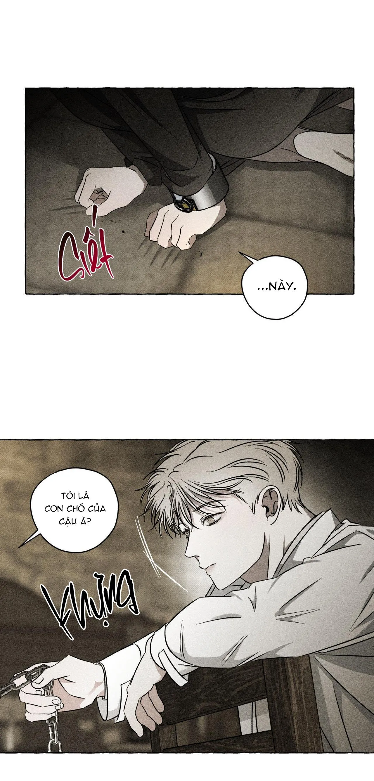 XƯƠNG VÀ CÁNH HOA Chapter 15 Trang 18