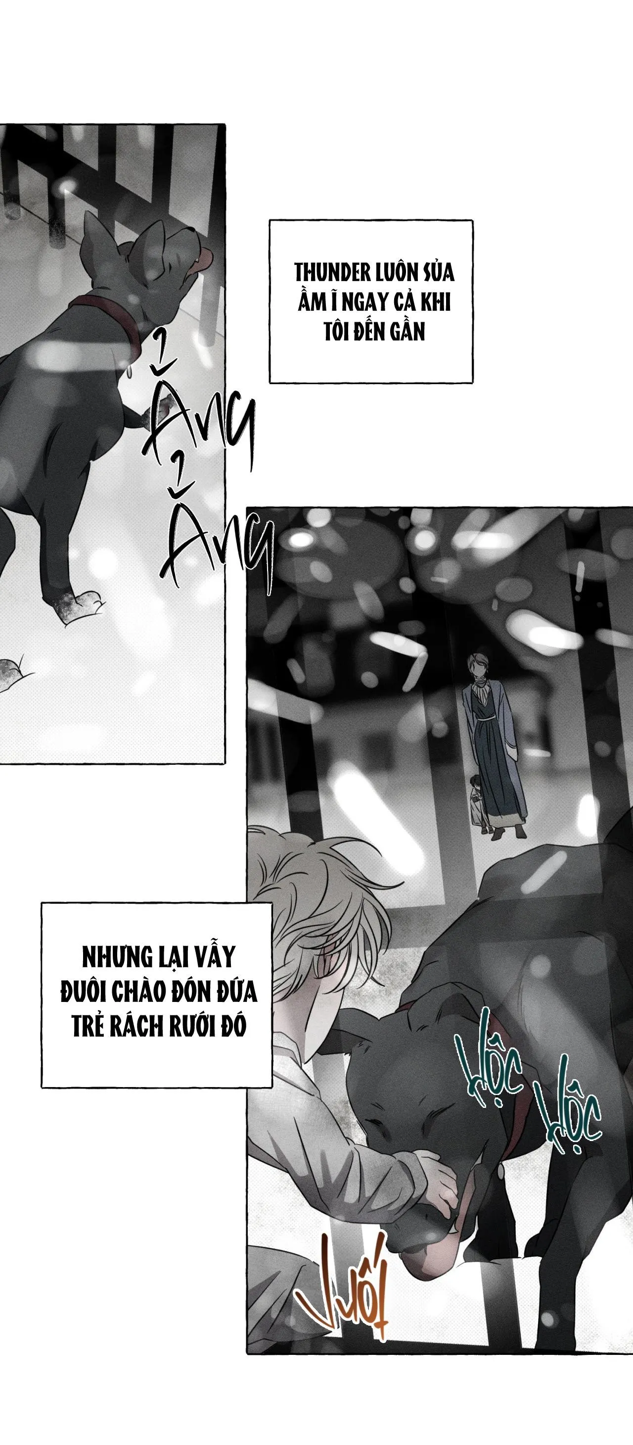 XƯƠNG VÀ CÁNH HOA Chapter 20 Trang 40