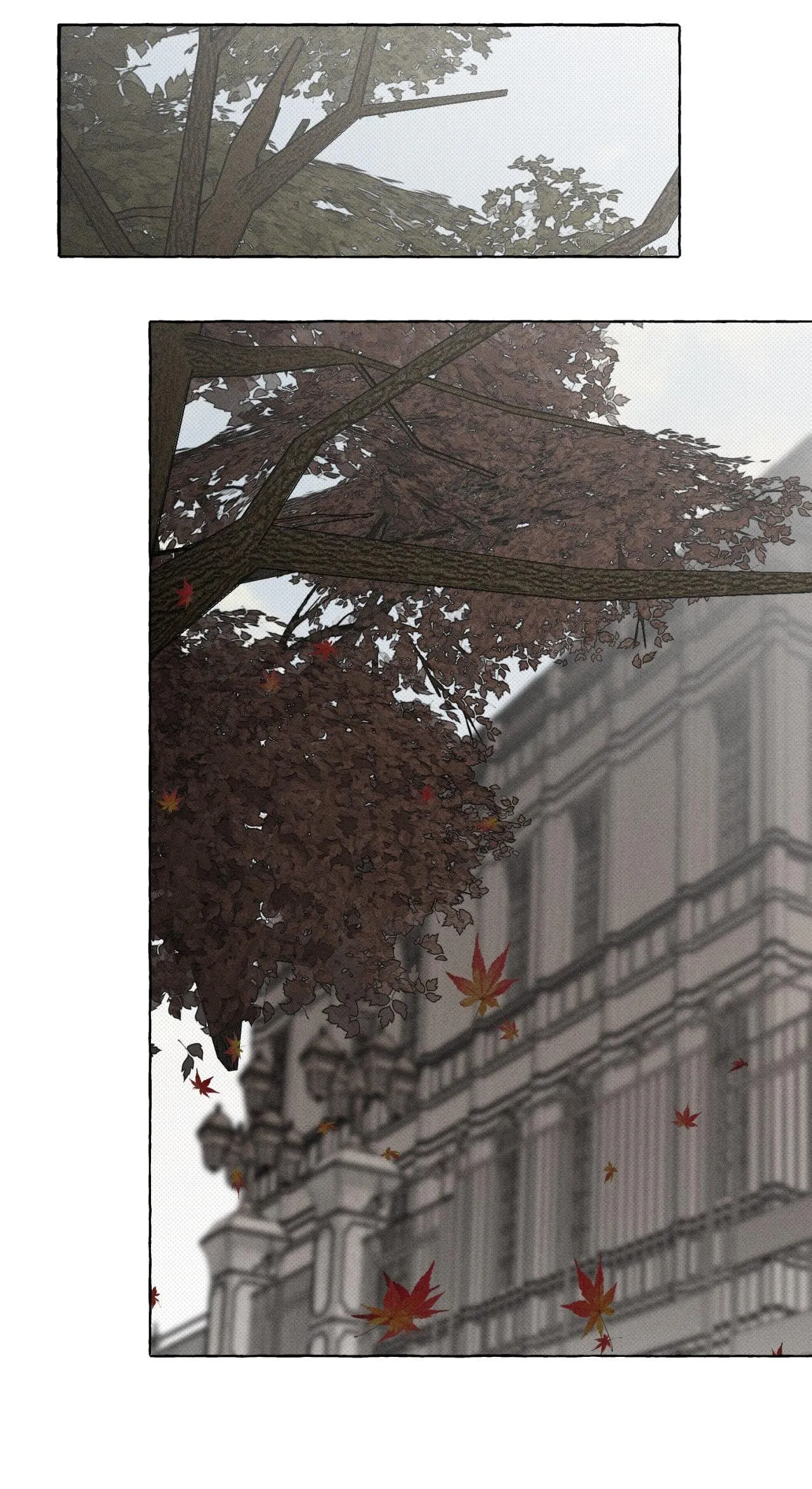 XƯƠNG VÀ CÁNH HOA Chapter 21 Trang 25