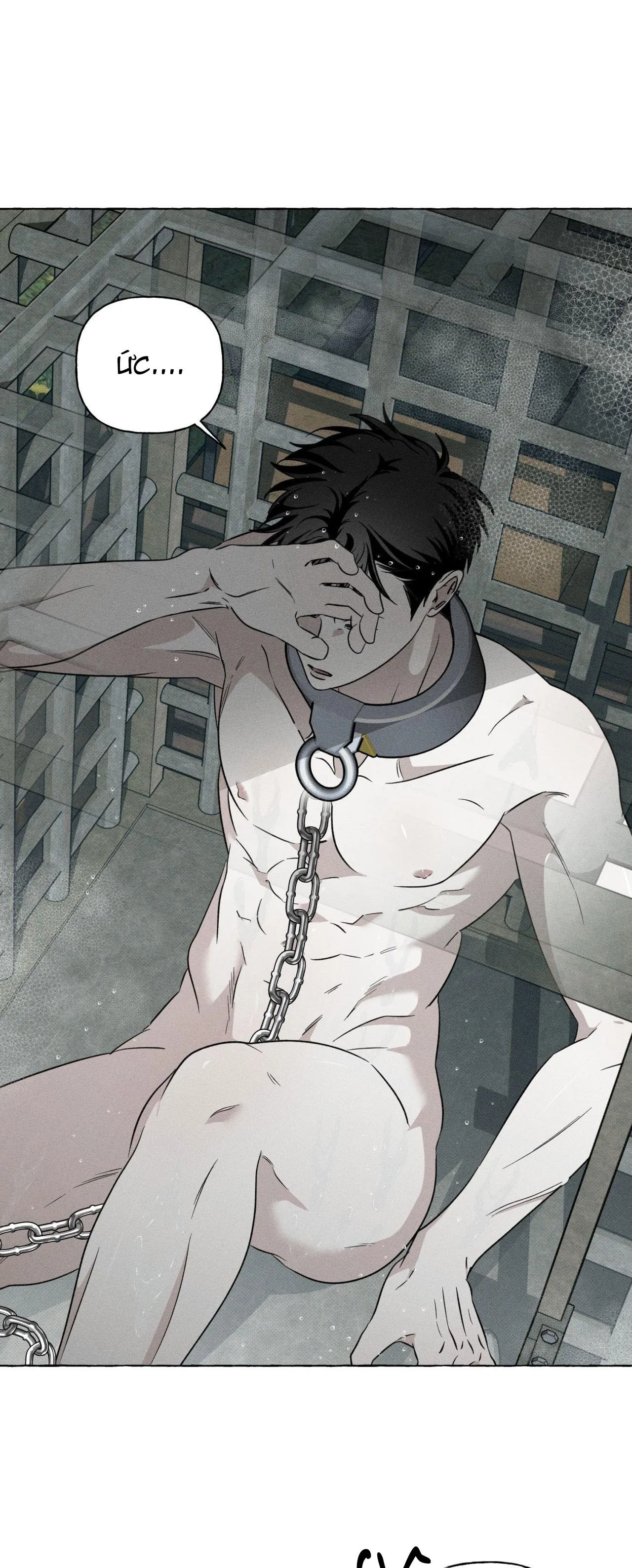 XƯƠNG VÀ CÁNH HOA Chapter 26 Trang 4