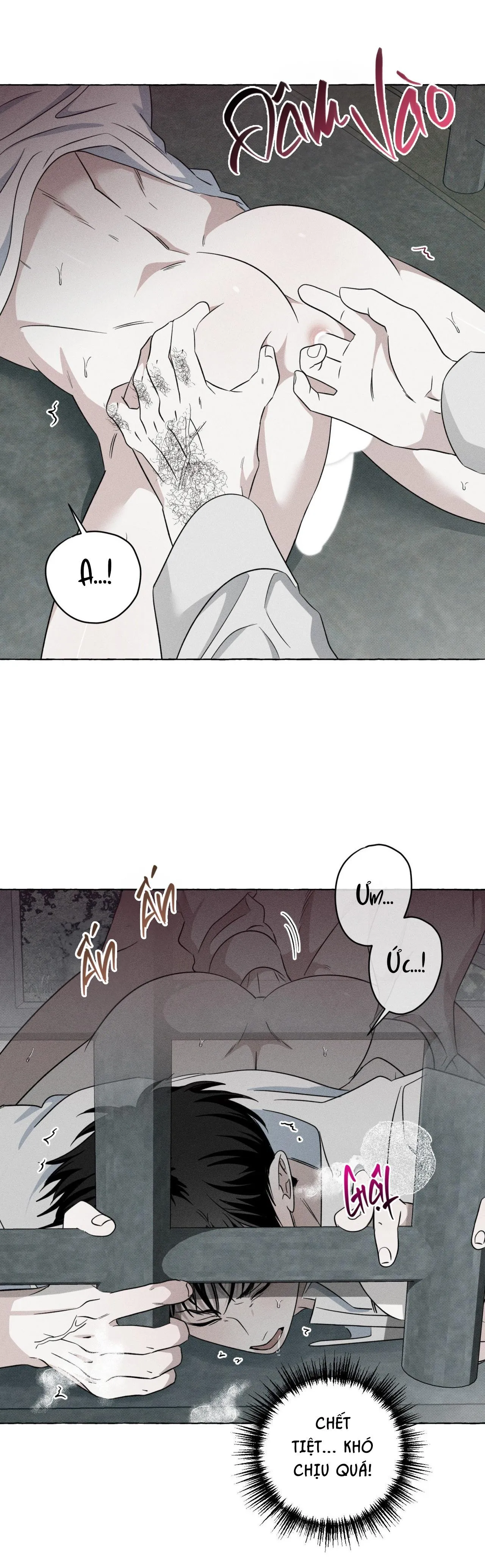 XƯƠNG VÀ CÁNH HOA Chapter 27 Trang 3