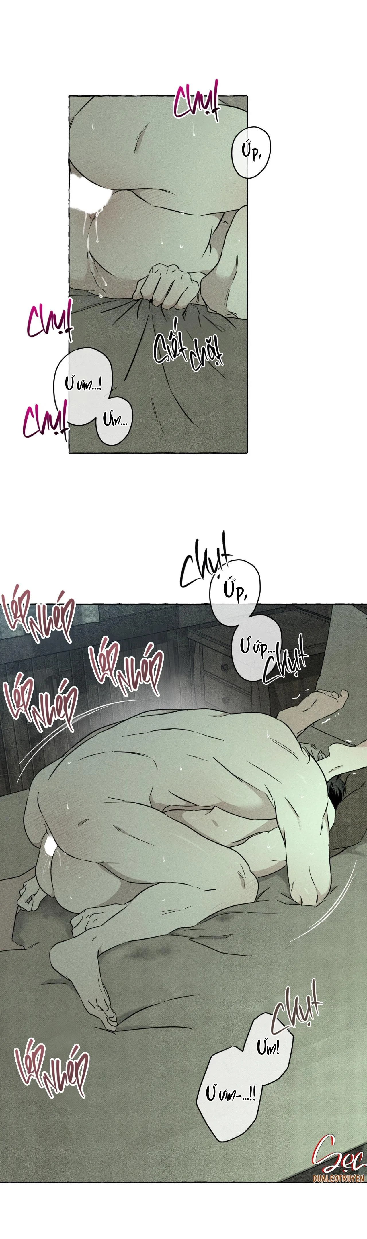 XƯƠNG VÀ CÁNH HOA Chapter 34 Trang 13