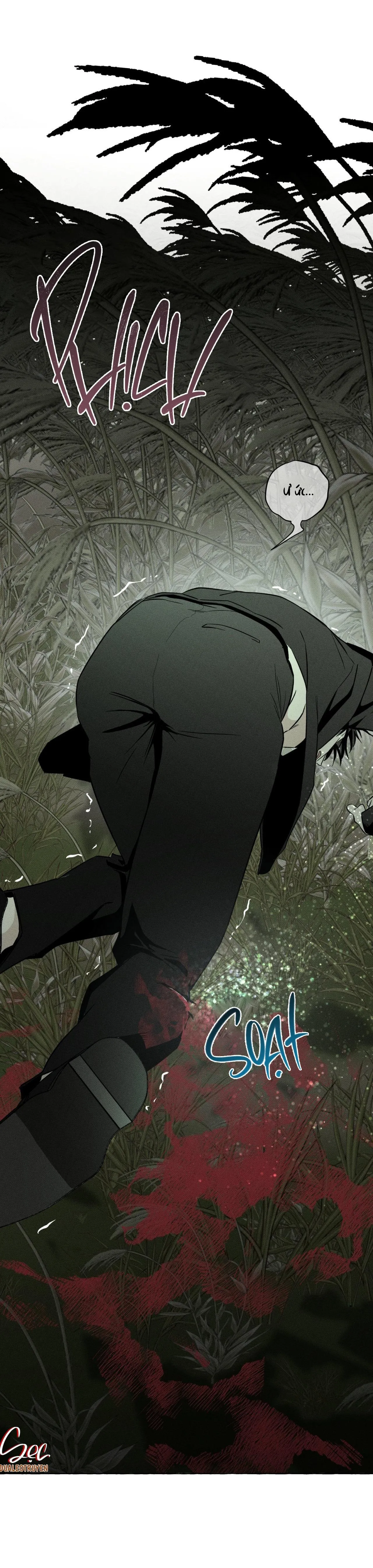 XƯƠNG VÀ CÁNH HOA Chapter 35 Trang 11