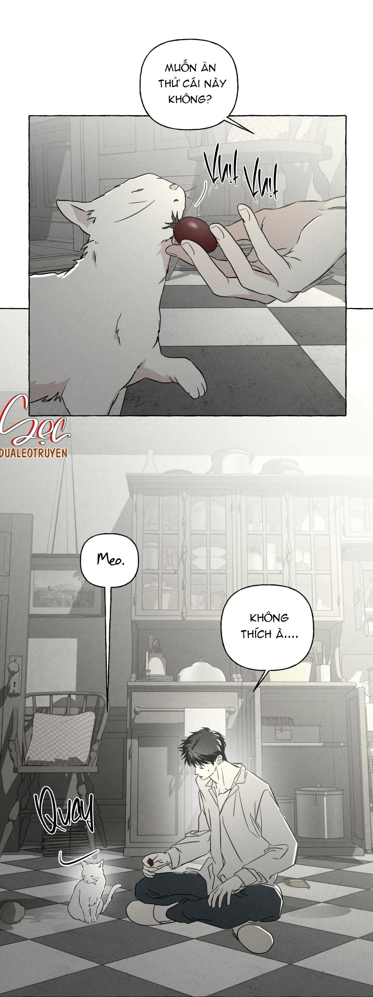 XƯƠNG VÀ CÁNH HOA Chapter 39 Trang 22