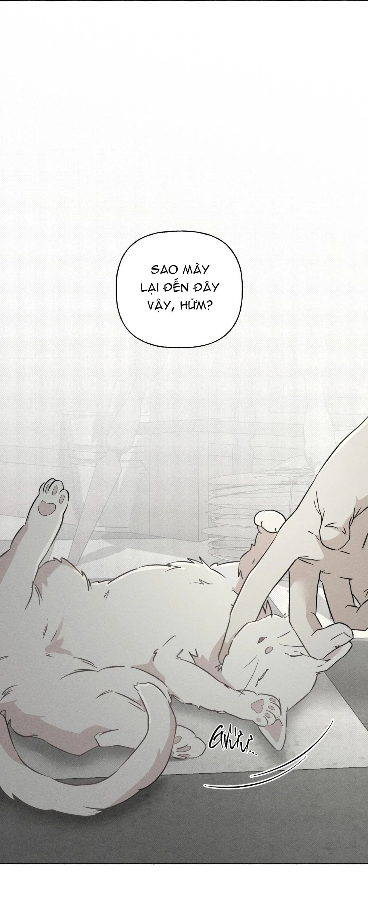 XƯƠNG VÀ CÁNH HOA Chapter 39 Trang 23