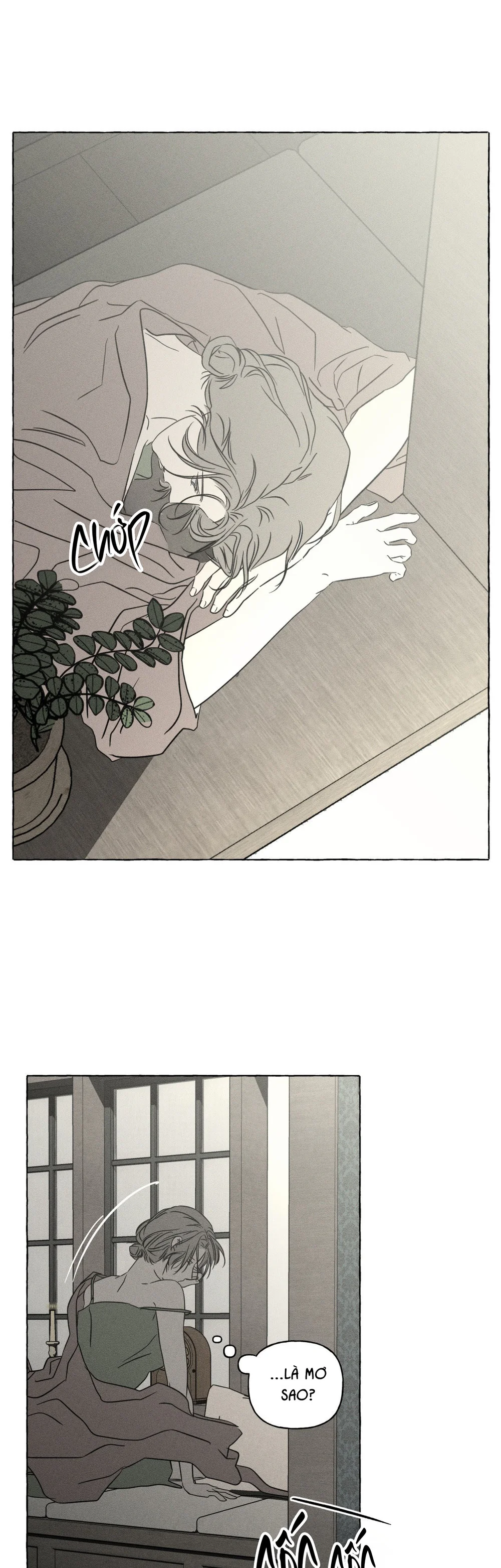 XƯƠNG VÀ CÁNH HOA Chapter 71 Trang 5