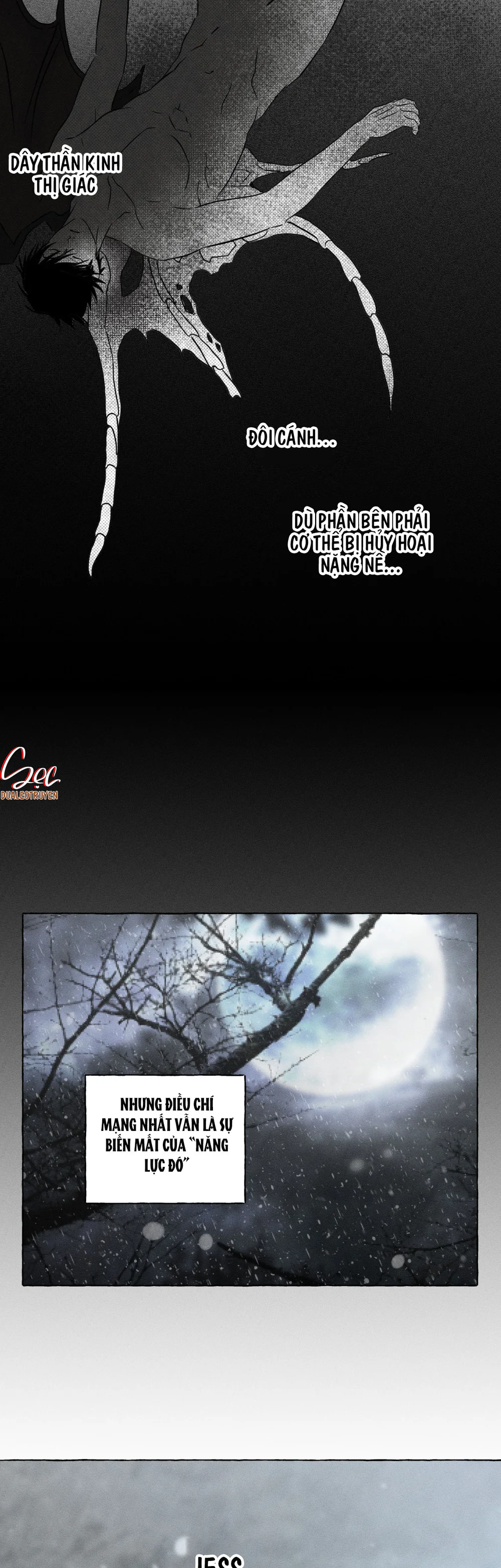 XƯƠNG VÀ CÁNH HOA Chapter 72 Trang 36