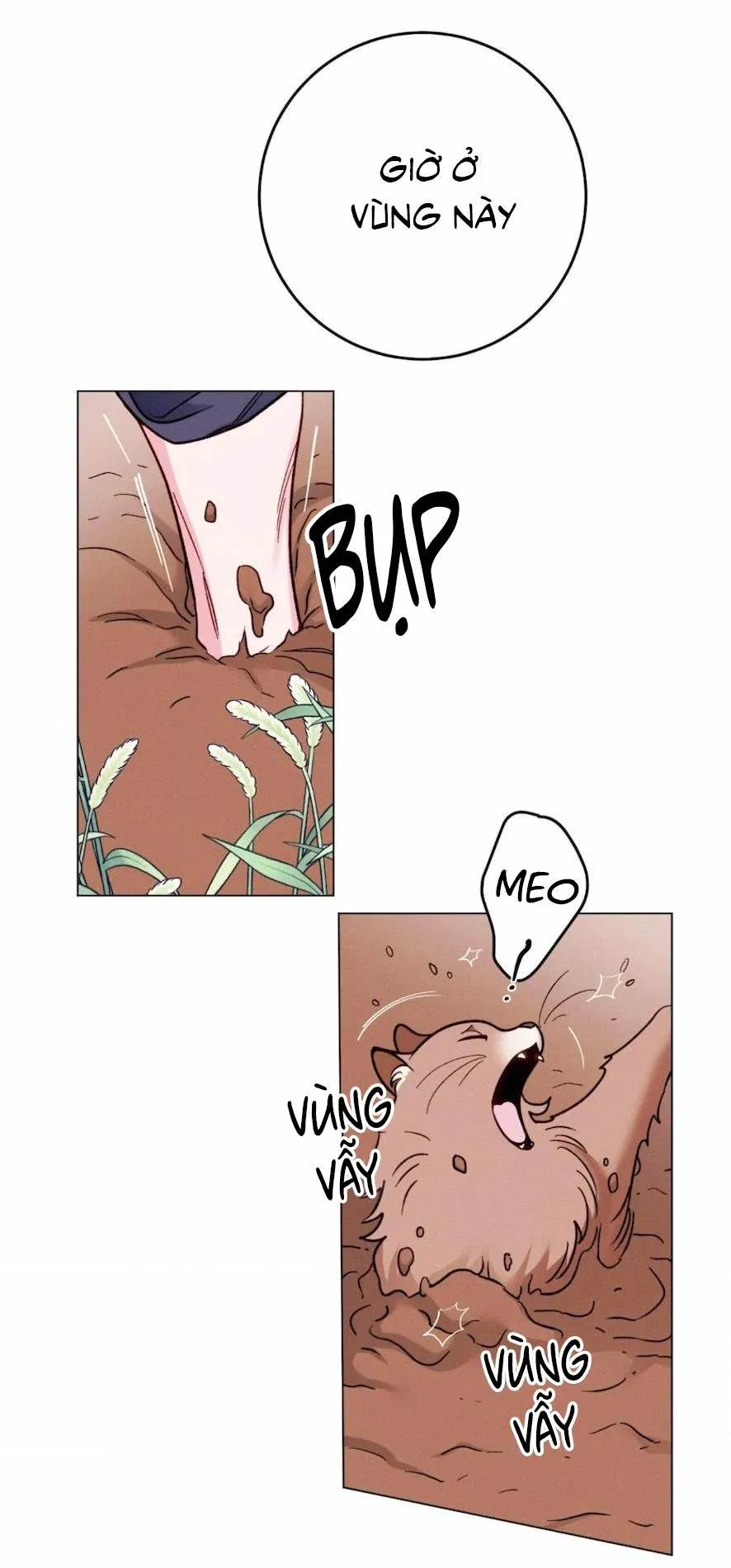 Xuyên Thành Bá Tước Omega Chapter 3 Trang 64