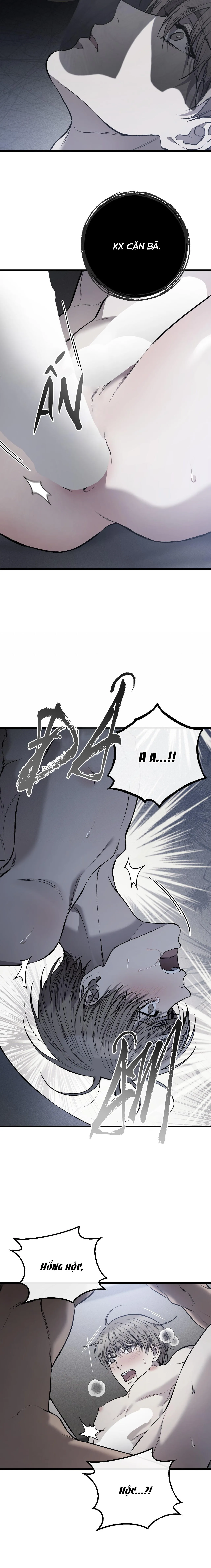 XX CẶN BÃ Chapter 7 Trang 4