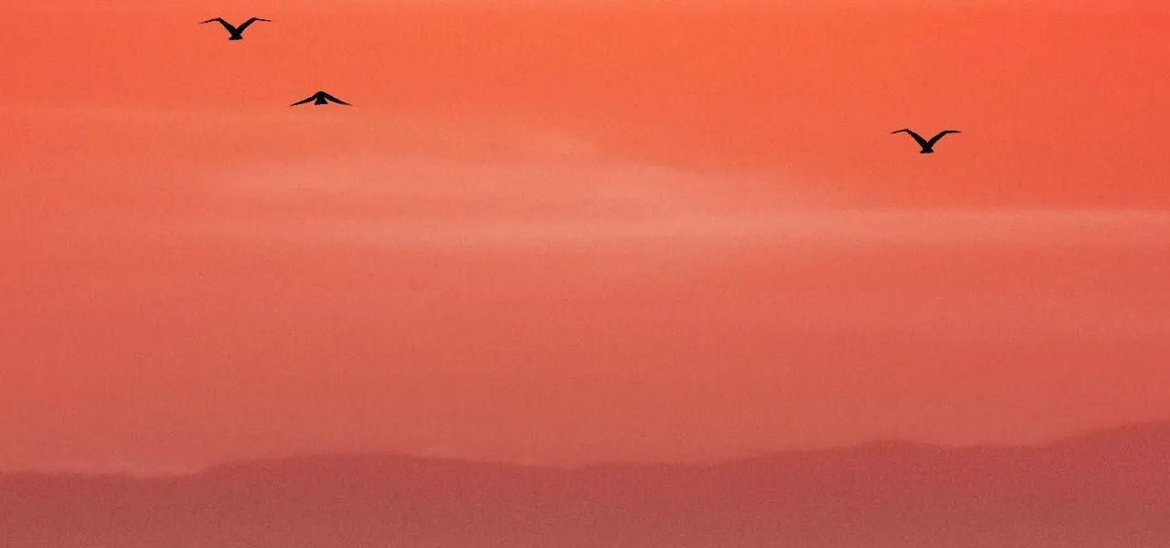 XX CẶN BÃ Chapter 37 Trang 23