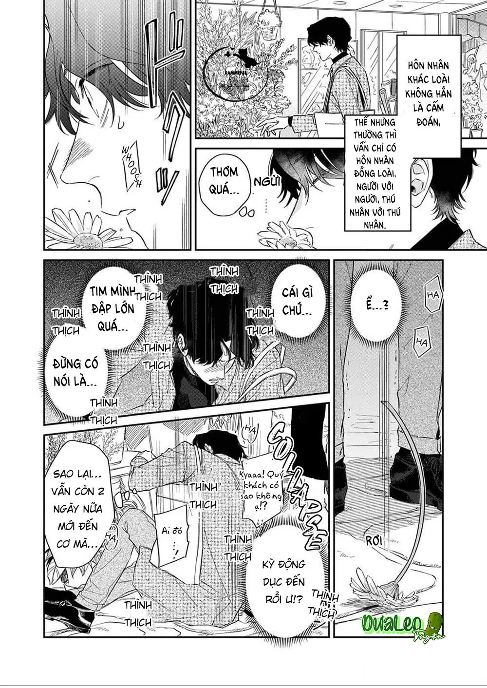 YÊU ĐƯƠNG CÙNG CHÀNG SÓI Chapter 1 Trang 14