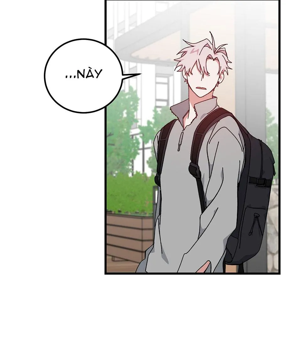 YÊU TÔI ĐI, THẦN HỘ MỆNH Chapter 38 Trang 16