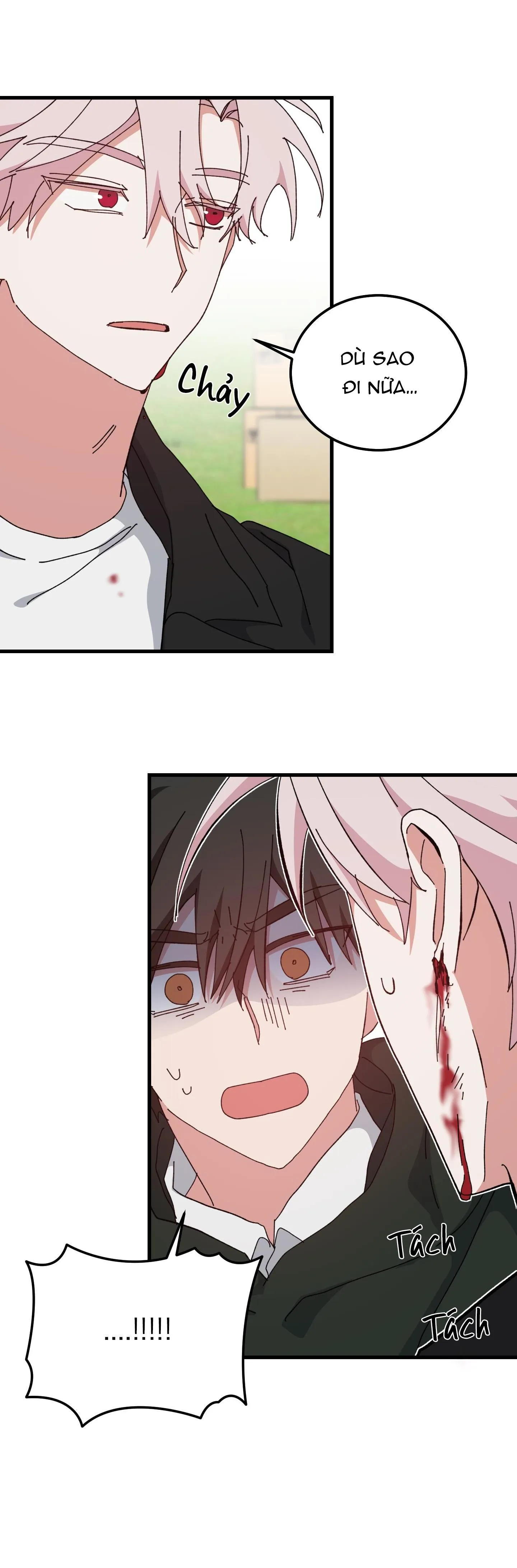 YÊU TÔI ĐI, THẦN HỘ MỆNH Chapter 48 Trang 14