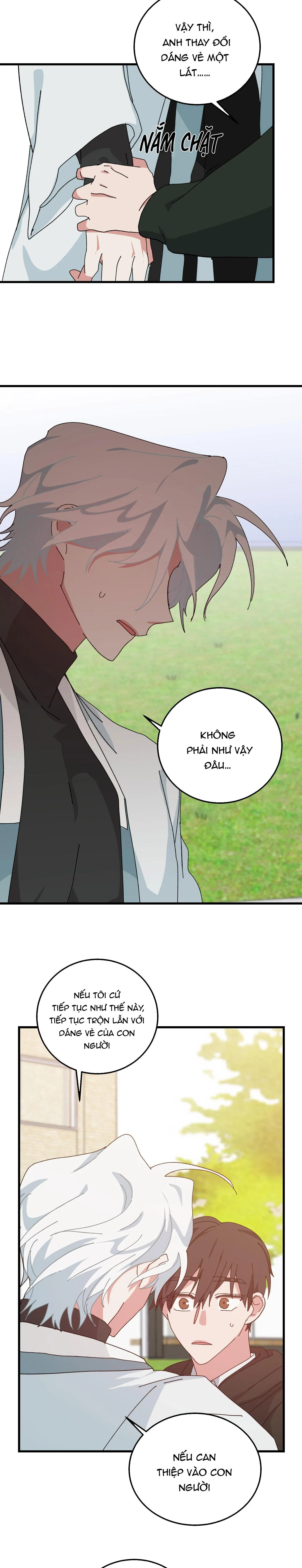 YÊU TÔI ĐI, THẦN HỘ MỆNH Chapter 49 Trang 4