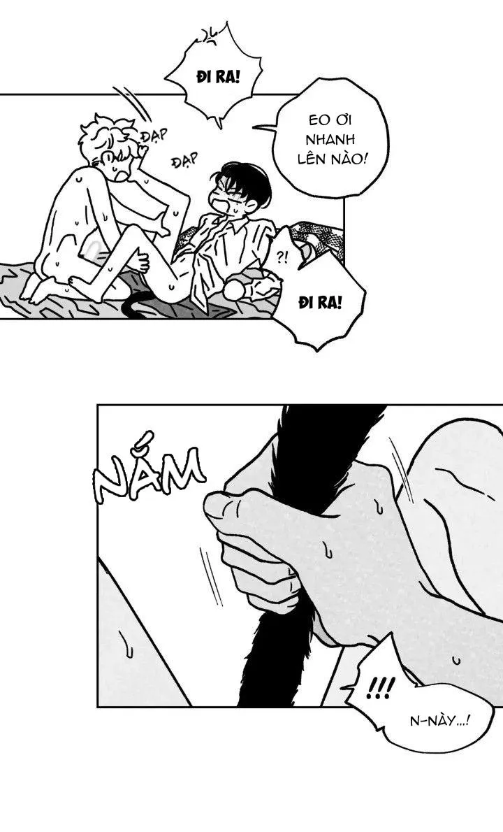 Yona và Chang-il Chapter 11 Trang 3