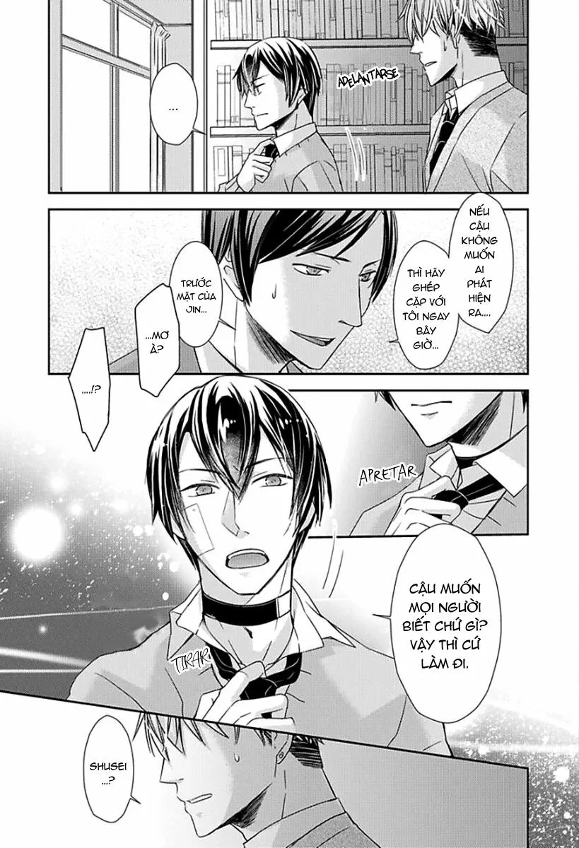 Tất Cả Vì Tôi Là Omega Chapter 4 Trang 12