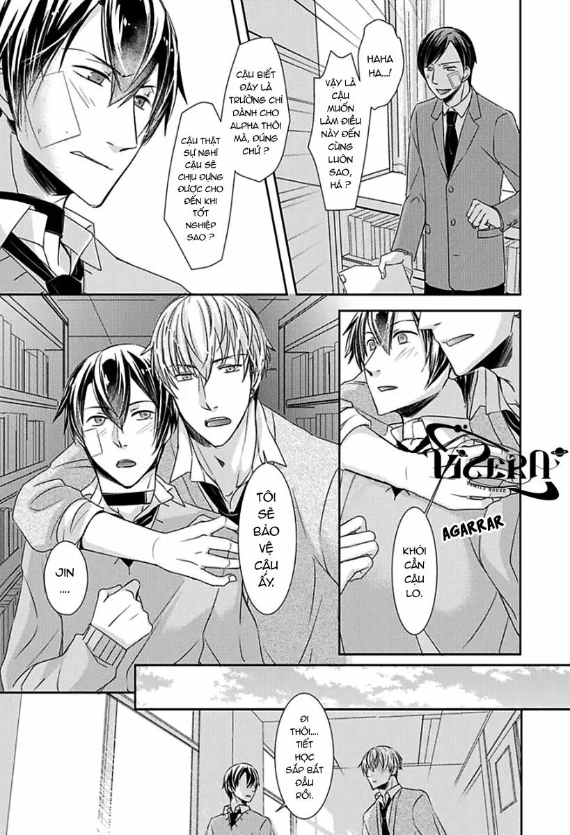 Tất Cả Vì Tôi Là Omega Chapter 4 Trang 13