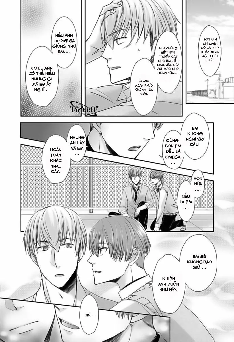 Tất Cả Vì Tôi Là Omega Chapter 5 Trang 17